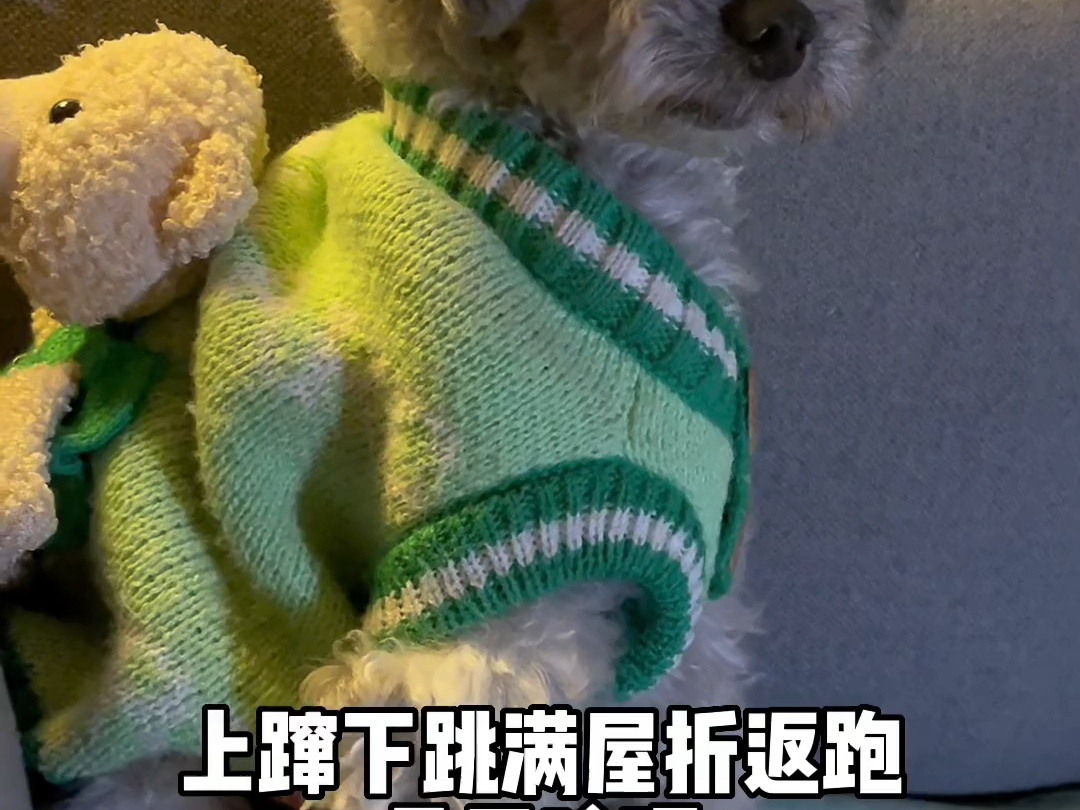 【搓澡的钢丝球】最新视频来袭,快来看看吧!