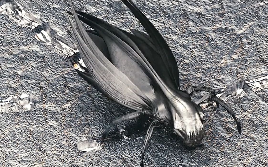 第一集外星超级纳米虫啃食地球到底有多么可怕