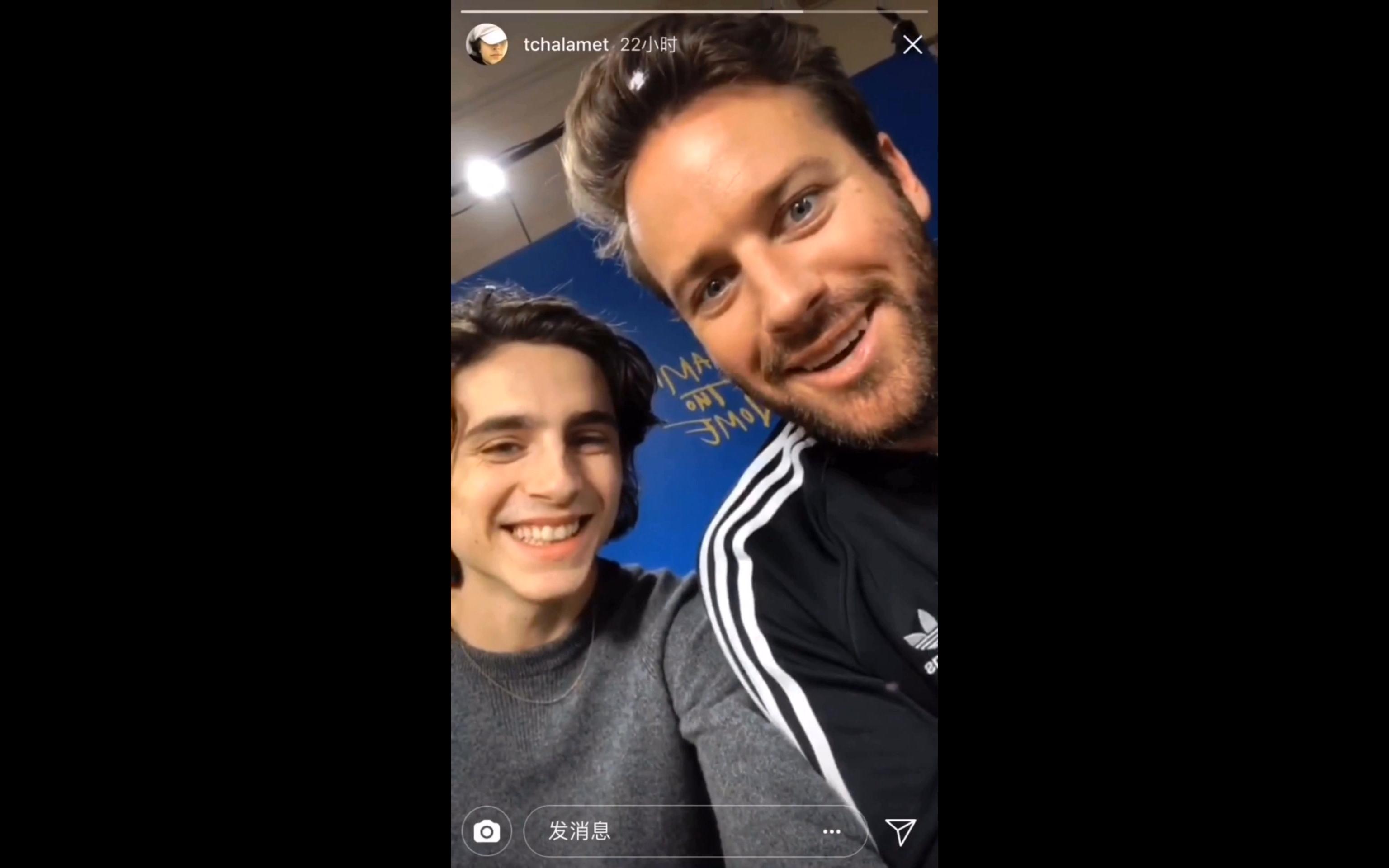 眼中的锤锤(纯糖)/锤茶糖自磕 timothee chalamet & armie hammer