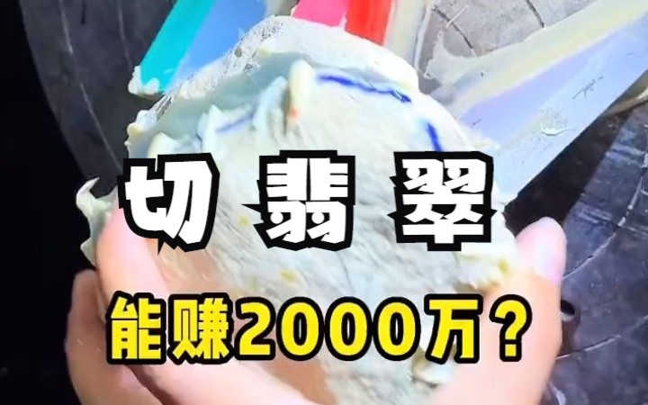 玩翡翠真的可以赚2000万?你做的行业能赚多少?哔哩哔哩bilibili