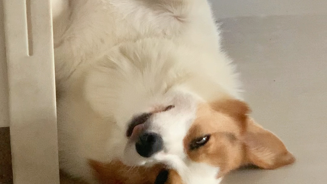 一个女孩子睡觉又吐舌头又翻白眼04