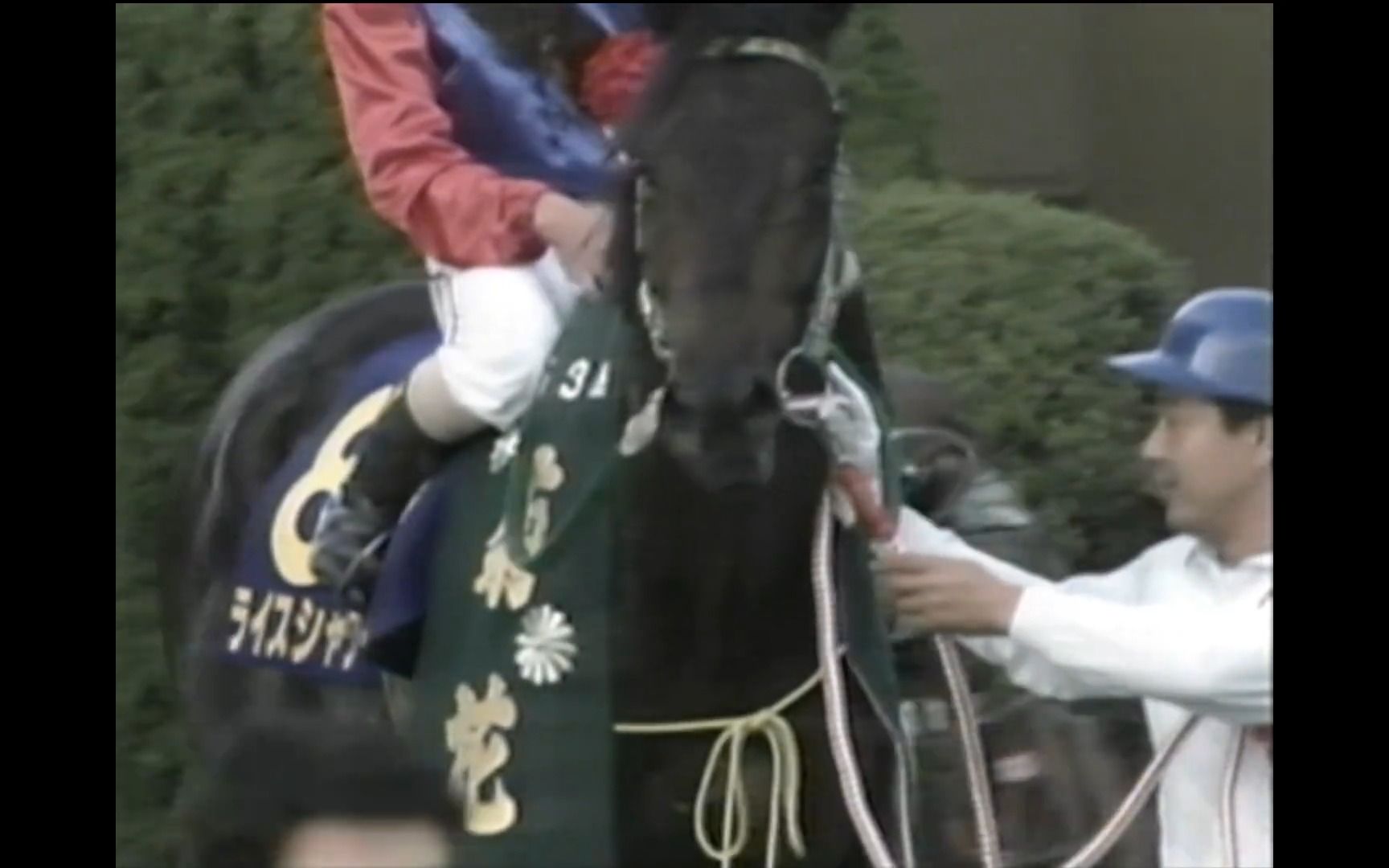 【赛马/vhs】米浴 疾驰于天的最强长距离马