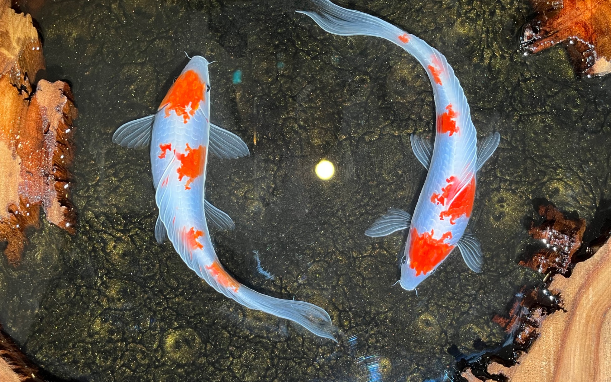 树脂画工艺品(锦鲤跃然)好运来!