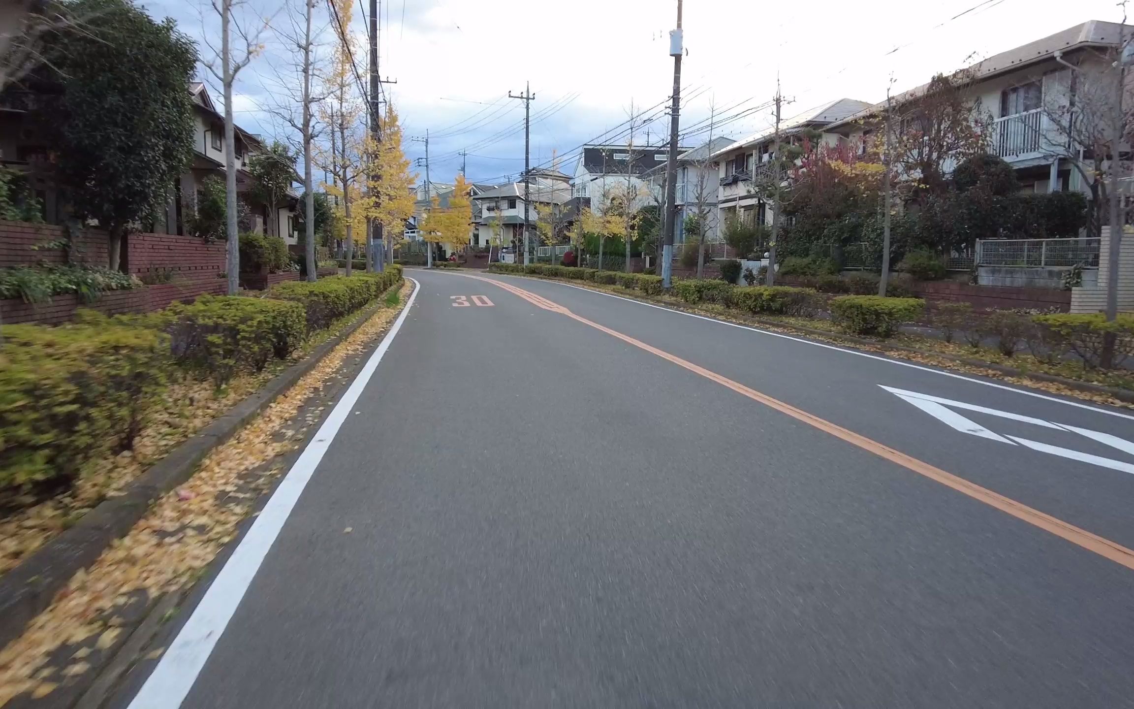 秋丨东京大学柏校区上学路