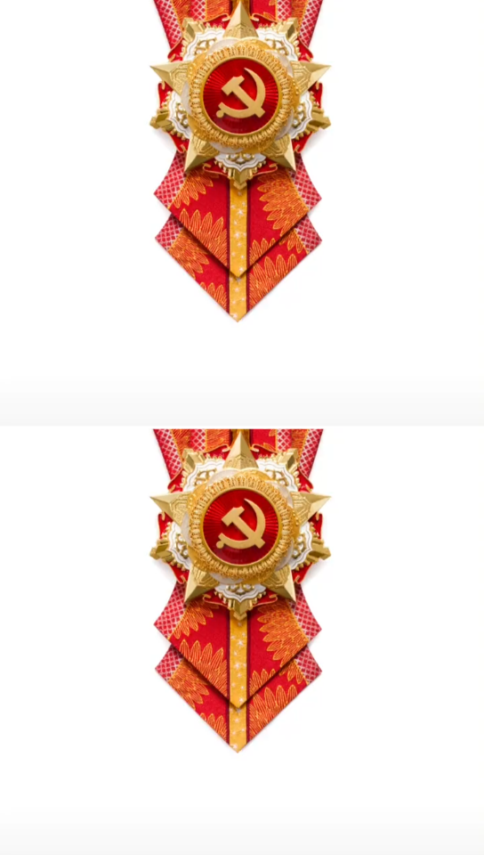 七一勋章～的模样