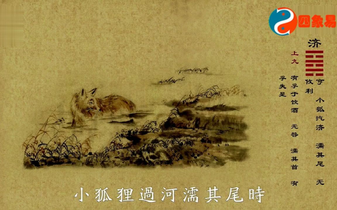 四象易缘传统文化周易动画版《易经》未济卦(火水未济)详细解读哔哩哔哩bilibili