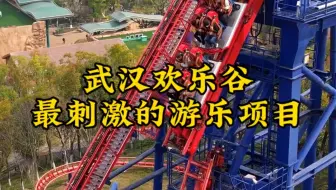 给你一千万，你敢挑战武汉欢乐谷最刺激的五大游乐项目吗，坐一次就会大小便失禁。