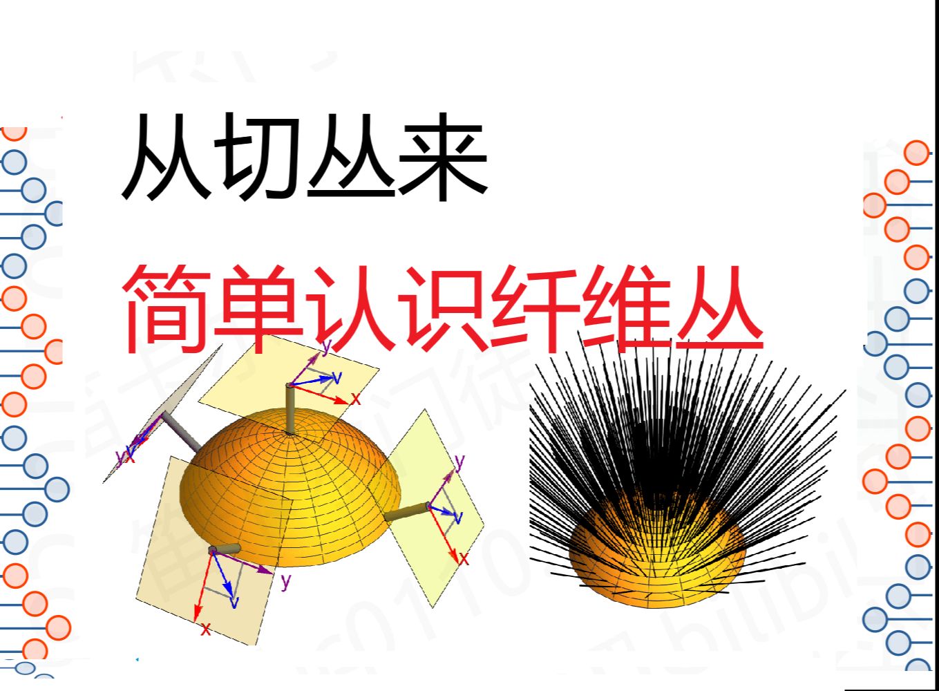 从切丛来简单认识纤维丛哔哩哔哩bilibili