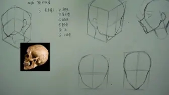【手绘漫画基础教程】教你入门级别方法来理解头型结构、骨骼和透视