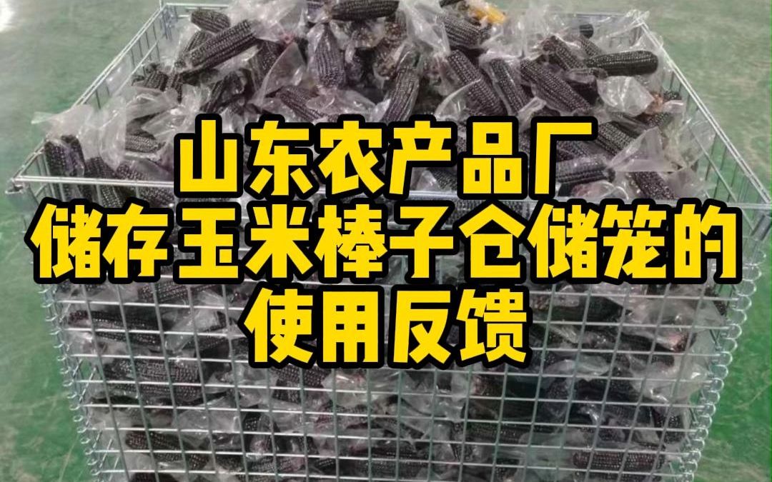储存玉米棒子仓储笼铁框客户实拍应用-大江仓储笼