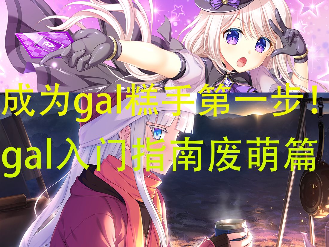 [图]【gal杂谈】找不到资源？不知道该推哪些作品？一期视频解决你对galgame的所有疑问！——gal入门指南废萌篇