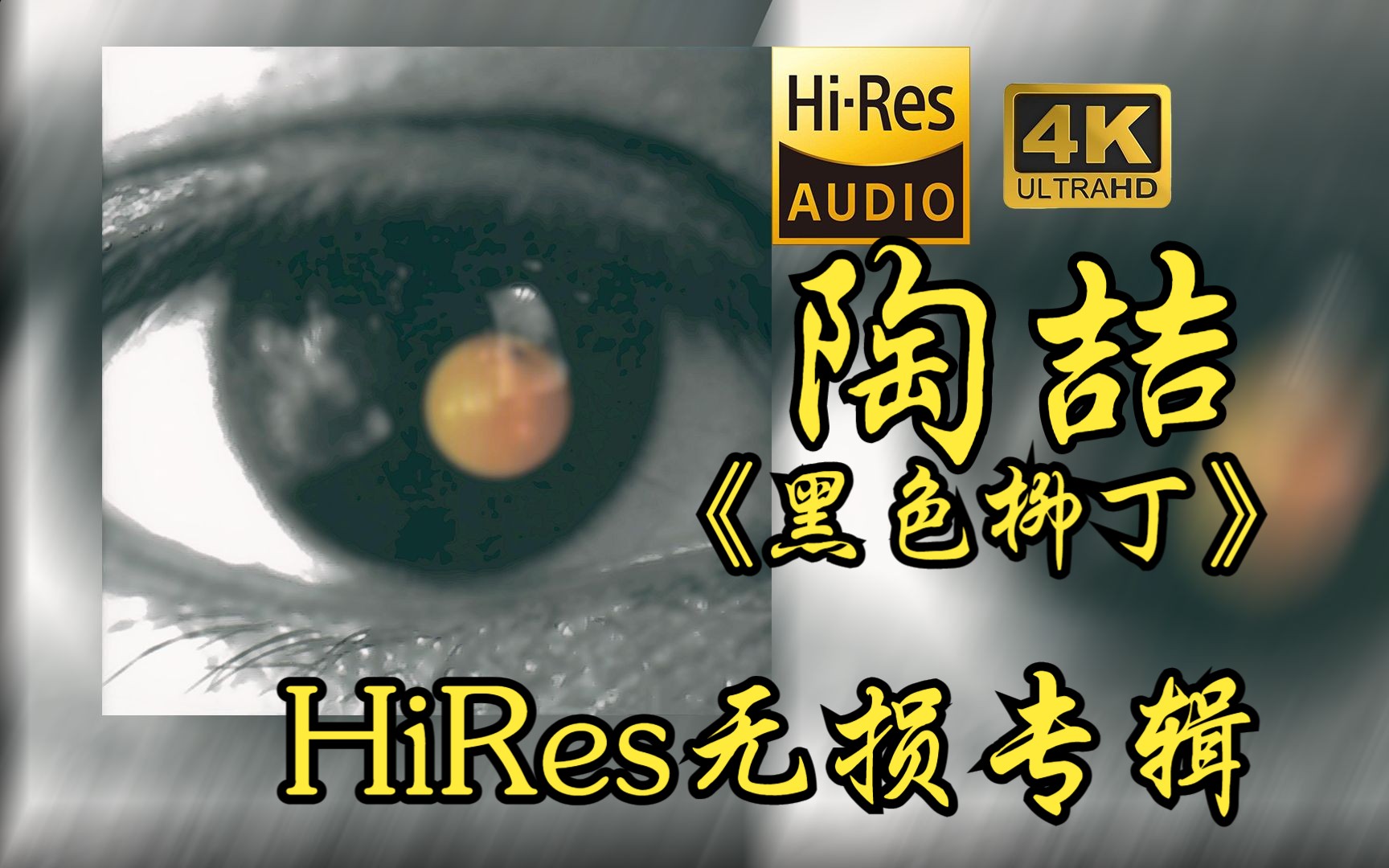 陶喆David Tao《黑色柳丁》【HiRes 24bit/48khz】专辑无损音频4K60帧歌词版哔哩哔哩bilibili