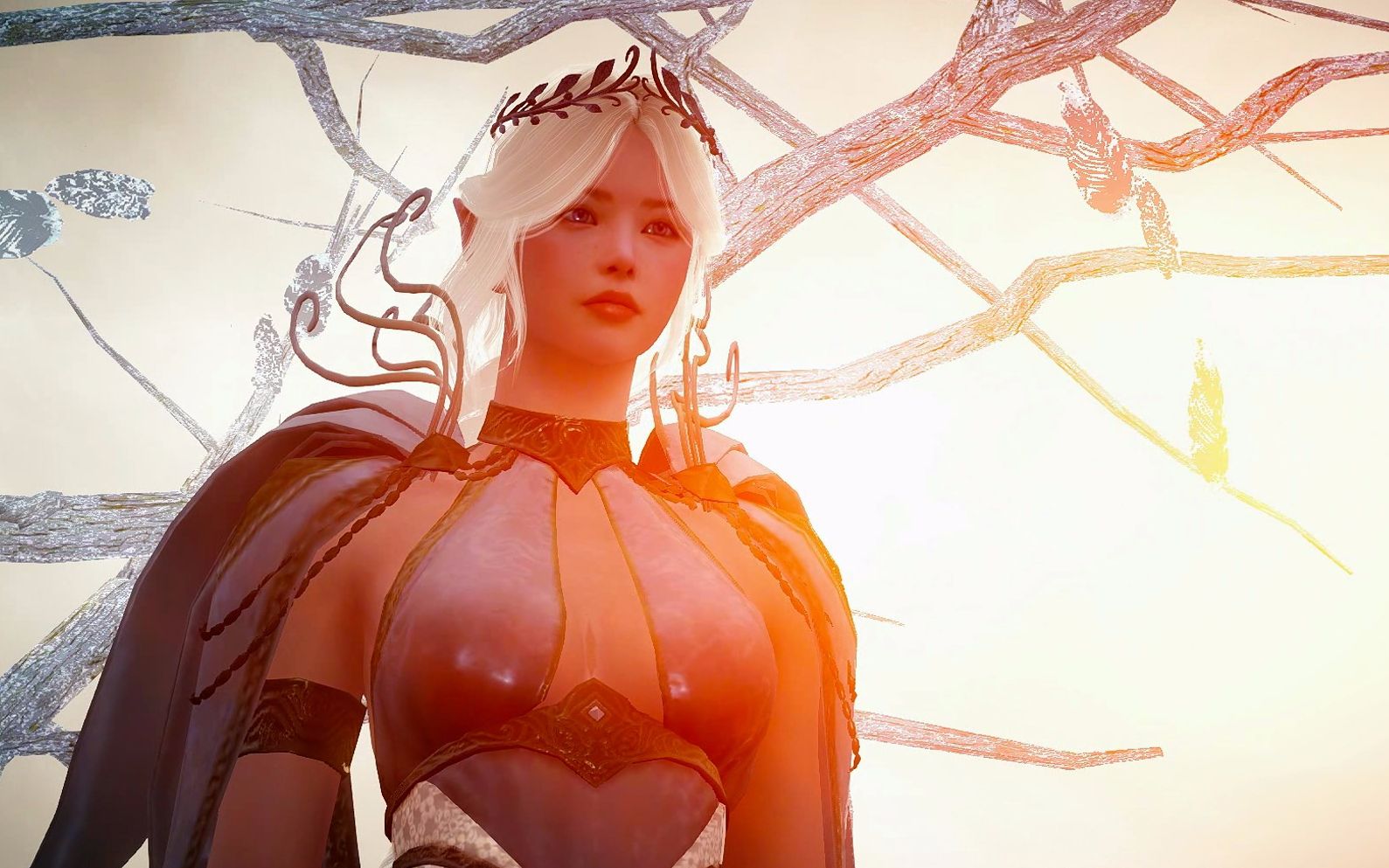 wowgear《黑色沙漠》卡玛希尔比亚贡献 总-053_哔哩哔哩 (゜-゜)つロ