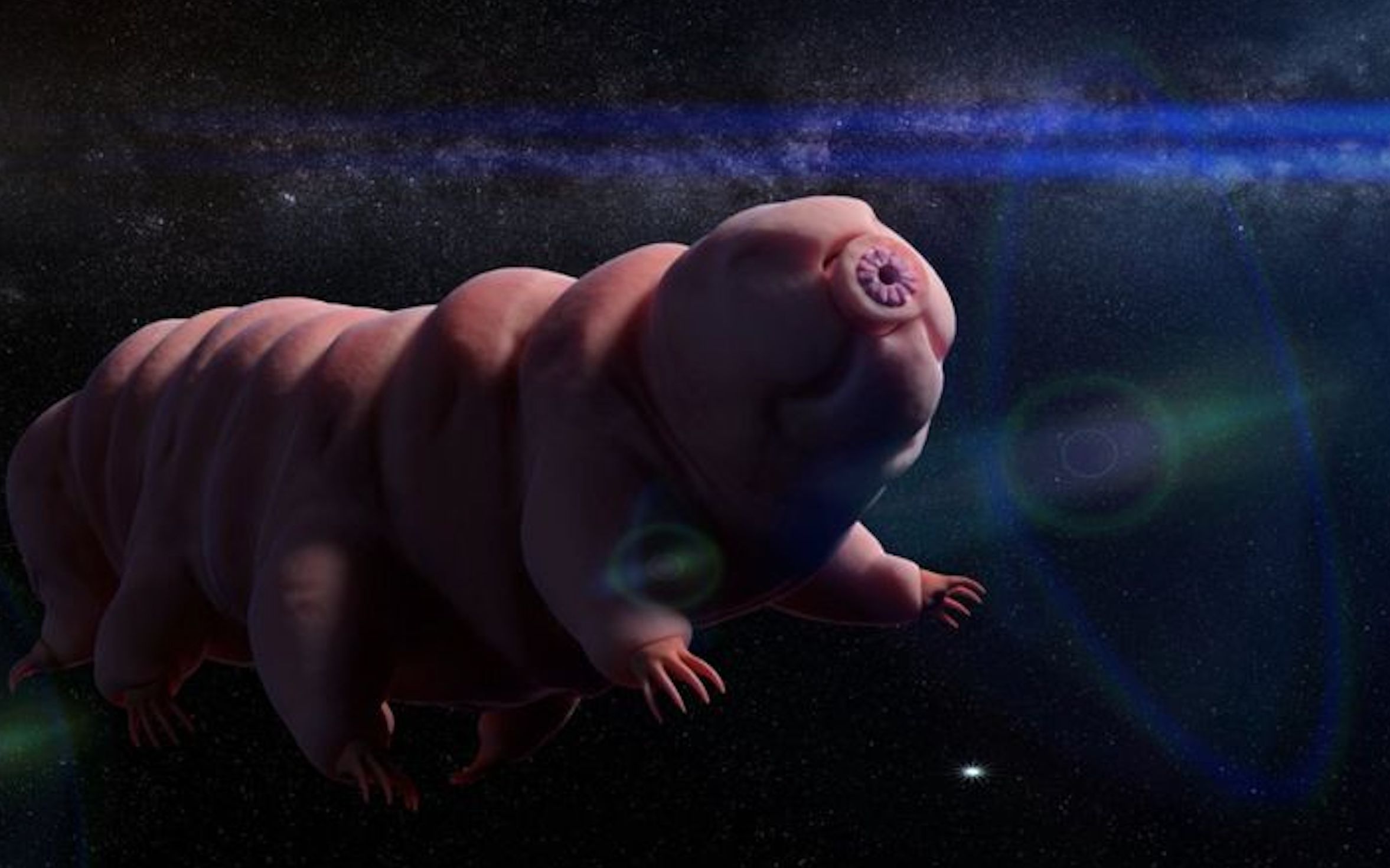 先"人"一步,最强生物水熊虫实现太空生存