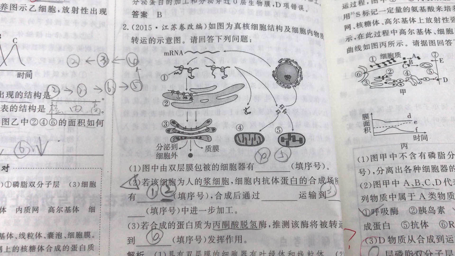 高中生物,蛋白质合成场所是核糖体???哔哩哔哩bilibili