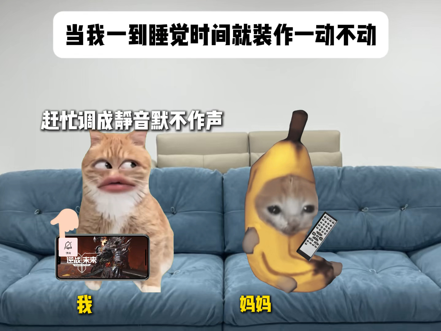 当我一到睡觉时间就装作一动不动