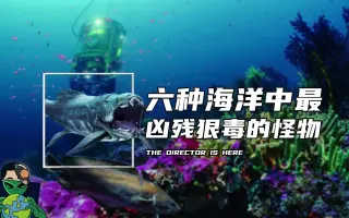 海洋怪物 搜索结果 哔哩哔哩 Bilibili