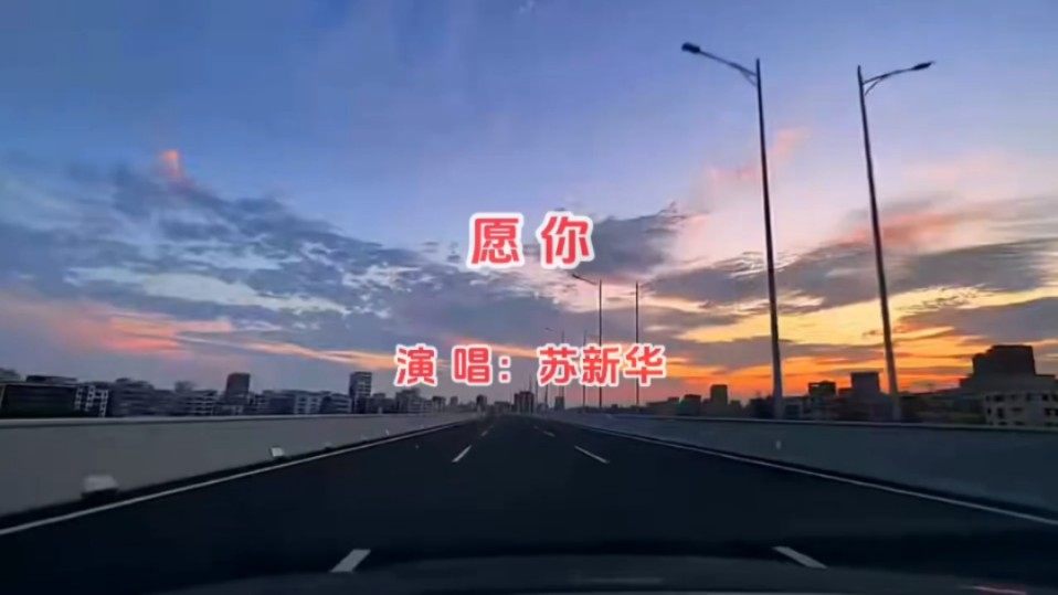 苏新华《愿你》MV,温暖感动,心弦共鸣,点赞分享不停歇!哔哩哔哩bilibili