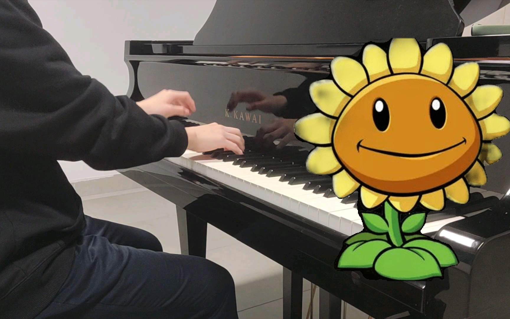 植物大战僵尸钢琴翻奏【grasswalk】