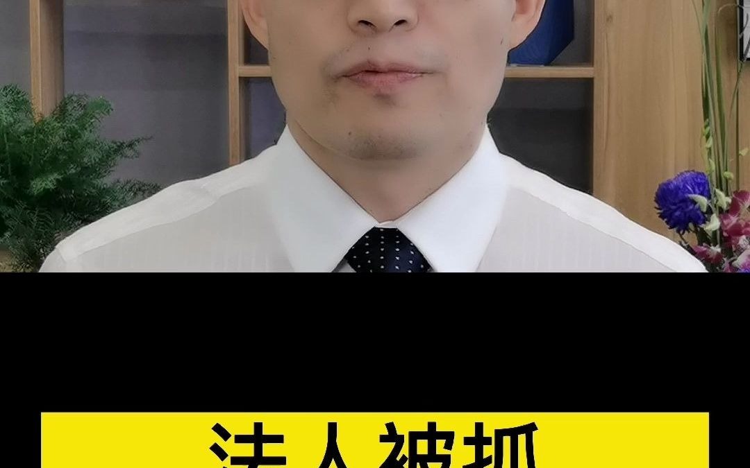 法人被抓,公司如何应对?!哔哩哔哩bilibili