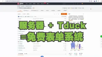 服务器+Tduck=永久免费使用的表单系统？