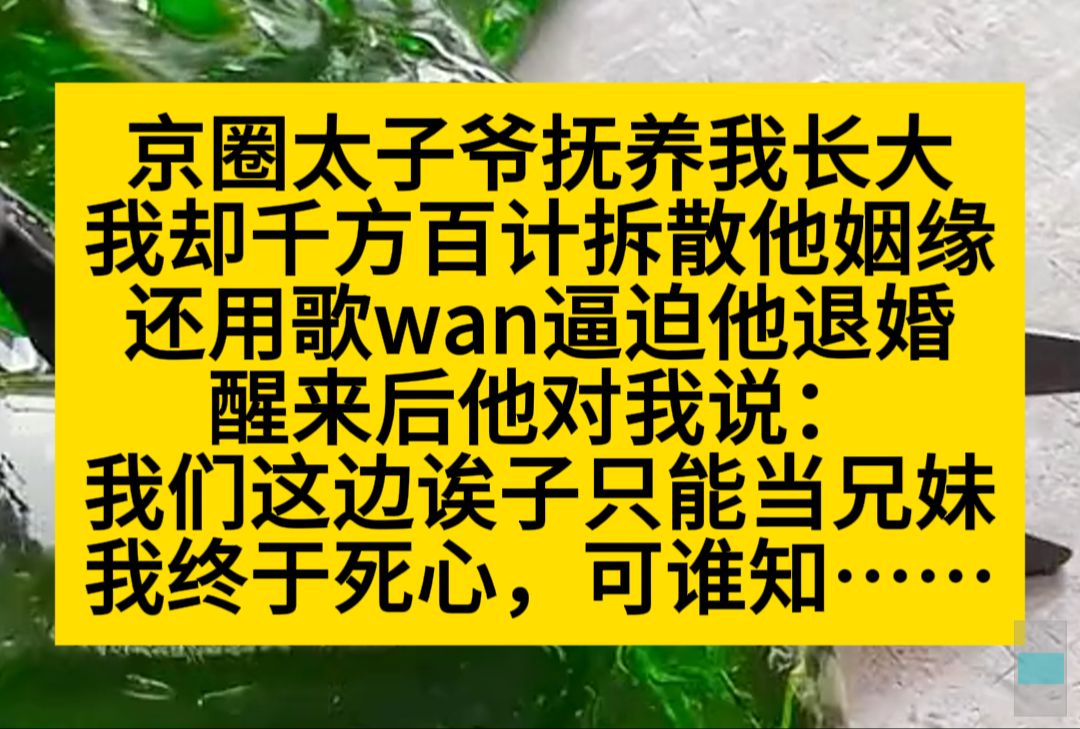 京圈太子爷抚养我长大,我却千方百计拆散他的姻缘,直到我歌玩醒来后,终于死心了……小说推荐哔哩哔哩bilibili