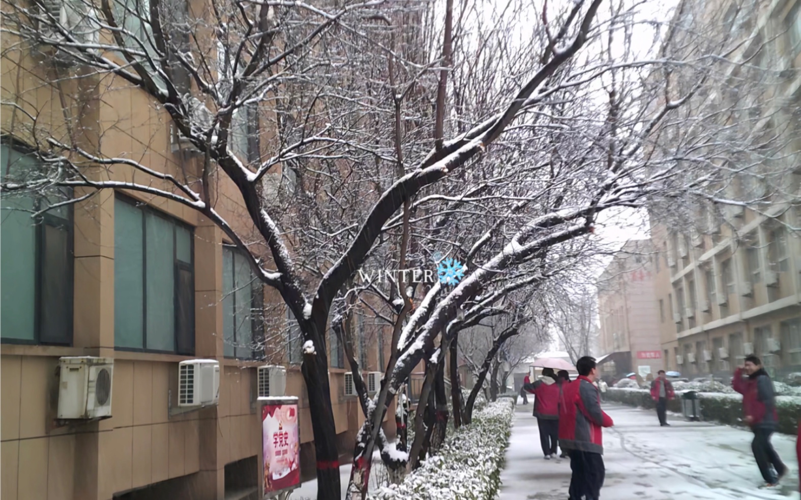 冬天的第一场雪!哔哩哔哩bilibili