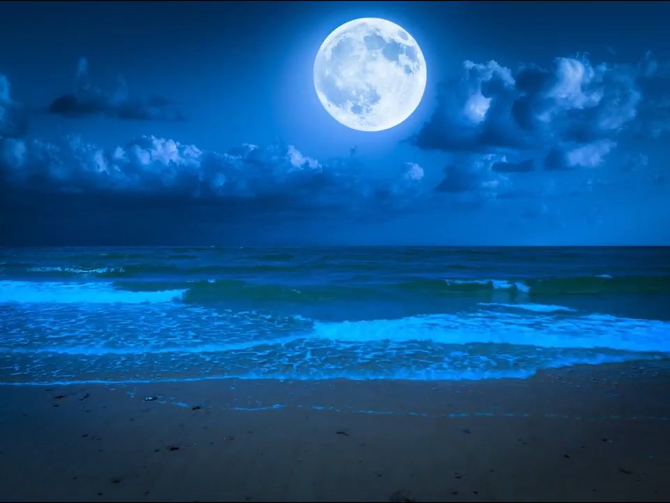 y1503 乌兰巴托的夜 歌曲配乐 唯美大海海平面夜空大圆月亮云朵流动