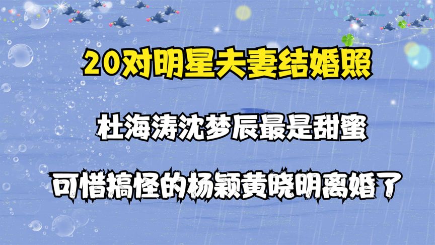 20对明星夫妻结婚照:沈梦辰海涛最是甜蜜,可惜搞怪杨颖晓明已离哔哩哔哩bilibili