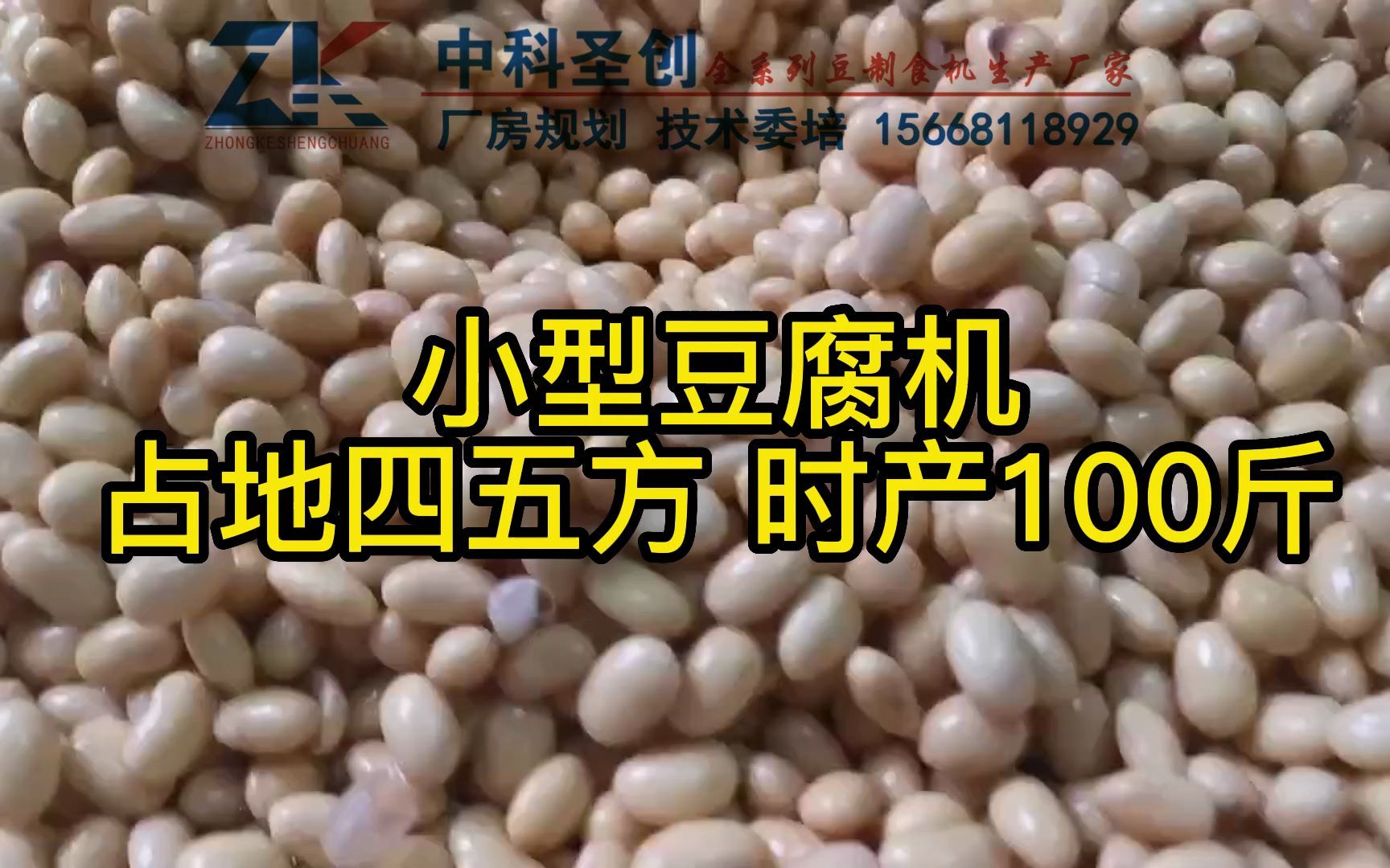 家用小型气压豆腐成型机,这款电磨煮浆豆腐机,两个人在家做时产200斤哔哩哔哩bilibili