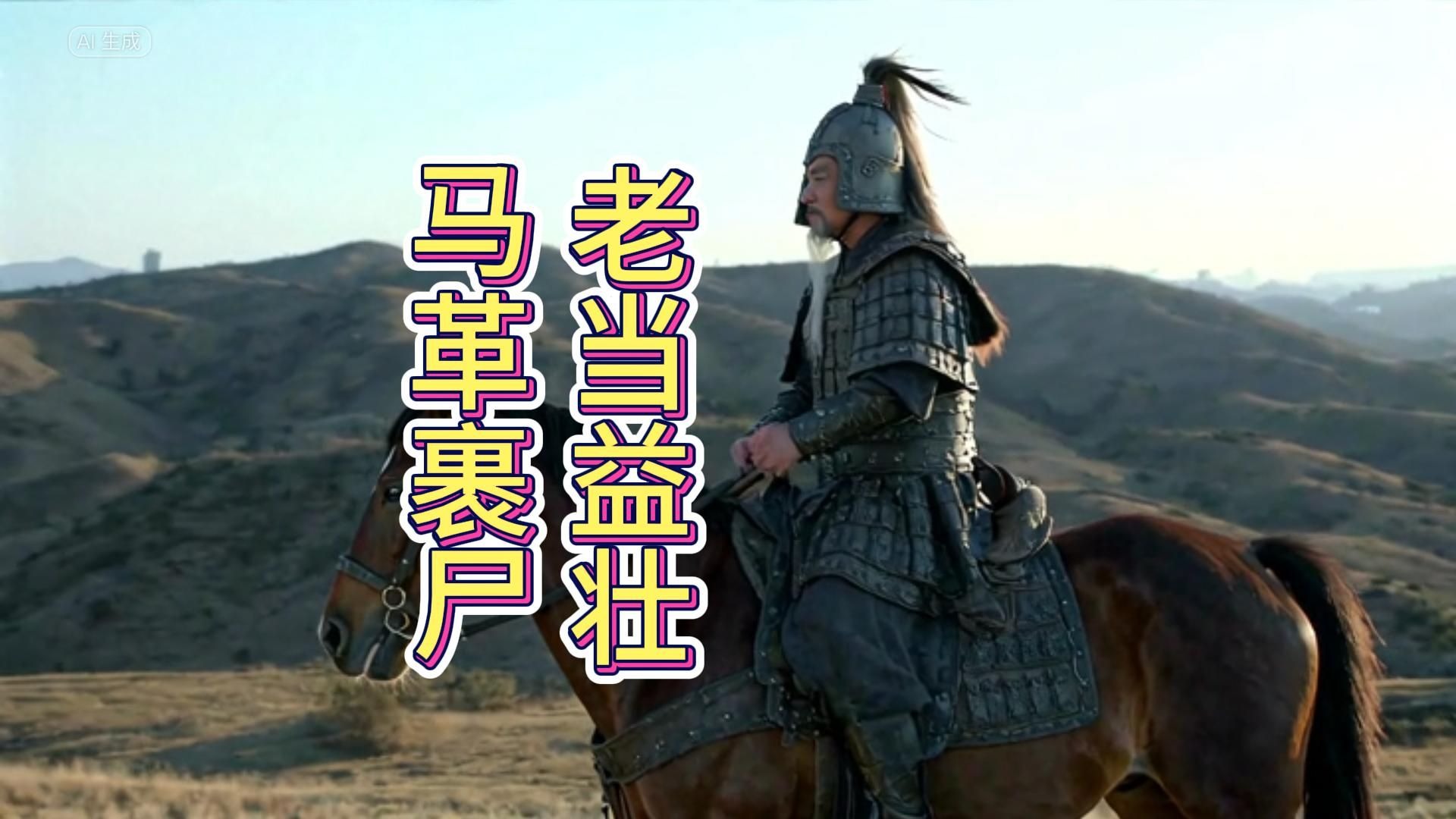 中国历史年度人物(公元44年):马援-沉映香-沉映香-哔哩哔哩视频
