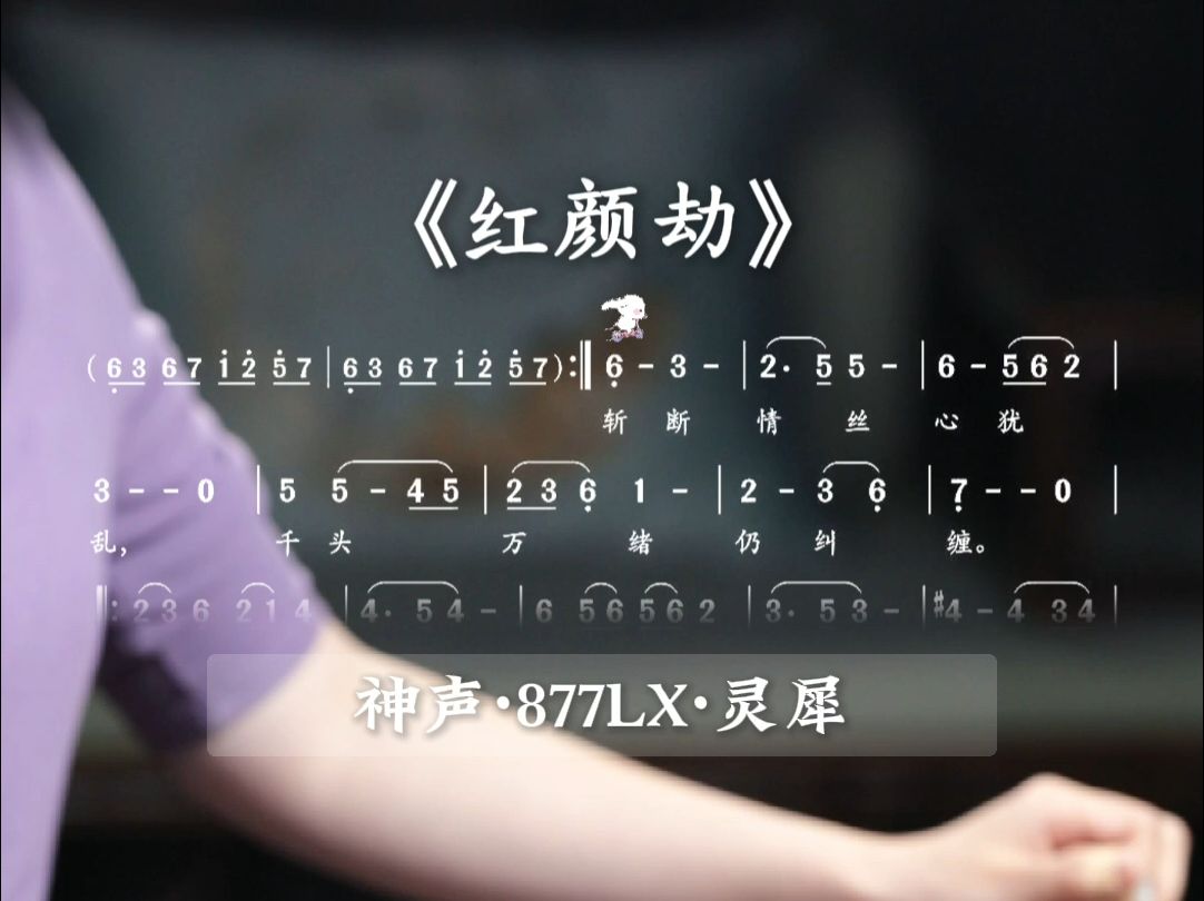 古筝|甄嬛传《红颜劫》曲目跟练!