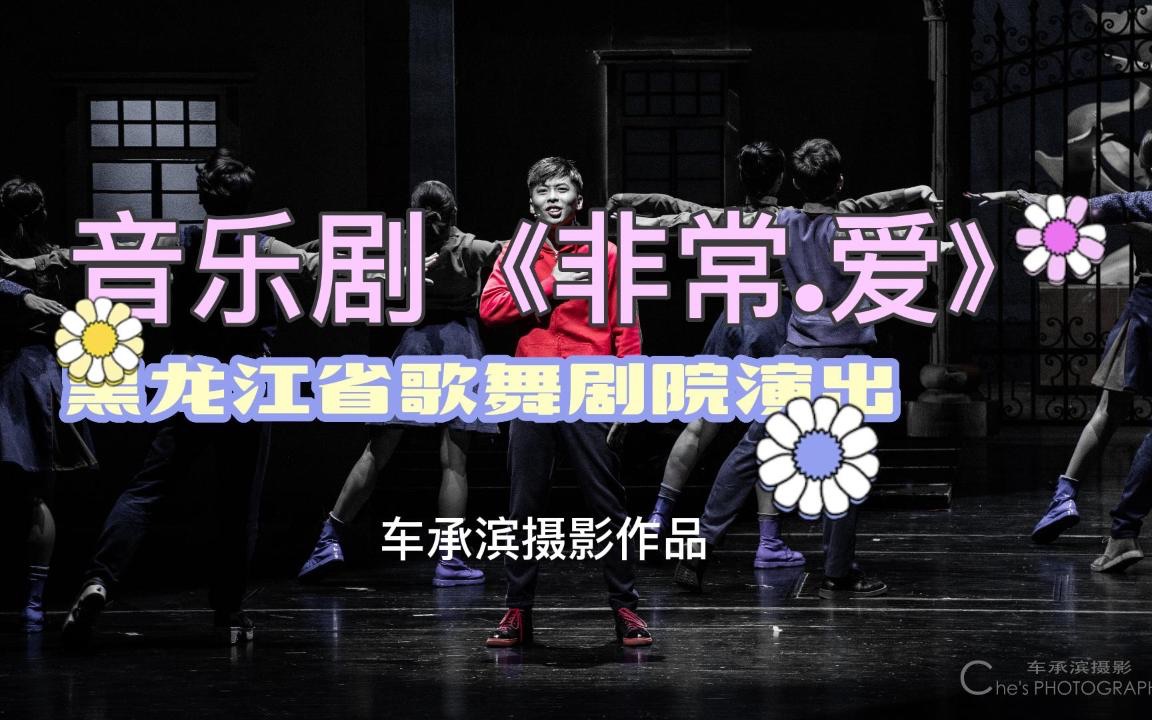 音乐剧《非常.爱》黑龙江省歌舞剧院演出哔哩哔哩bilibili