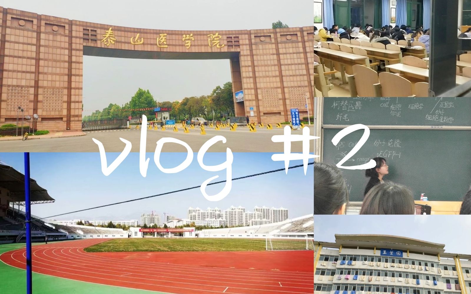 vlog#2|泰山医学院 | 开学 | 图书馆打卡 | 医学生的一天哔哩哔哩bilibili