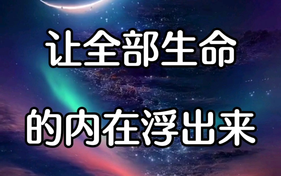 杨定一博士：让全部生命的内在浮出来-找回全部的生命-找回全部的生命-哔哩哔哩视频