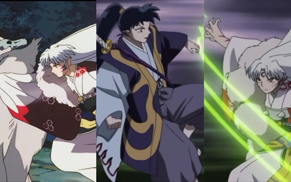 杀殿:一声不响地出现在奈落(傀儡)和梦幻白夜身后,给了他们不致命的