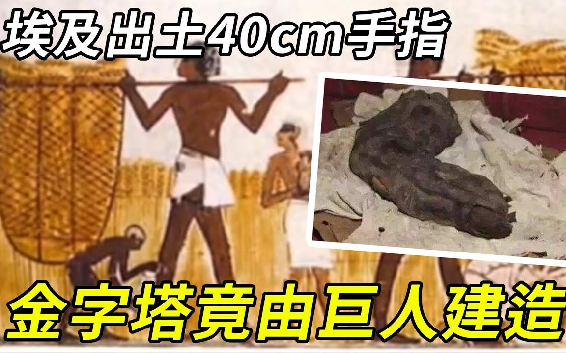 [图]埃及发现40公分长手指，掩盖千年的秘密终于现世，金字塔竟有巨人建造？