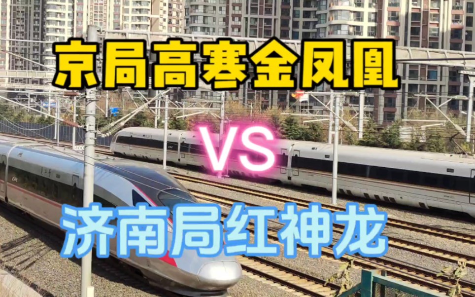 高寒金凤凰减速通过交汇快速通过的红神龙