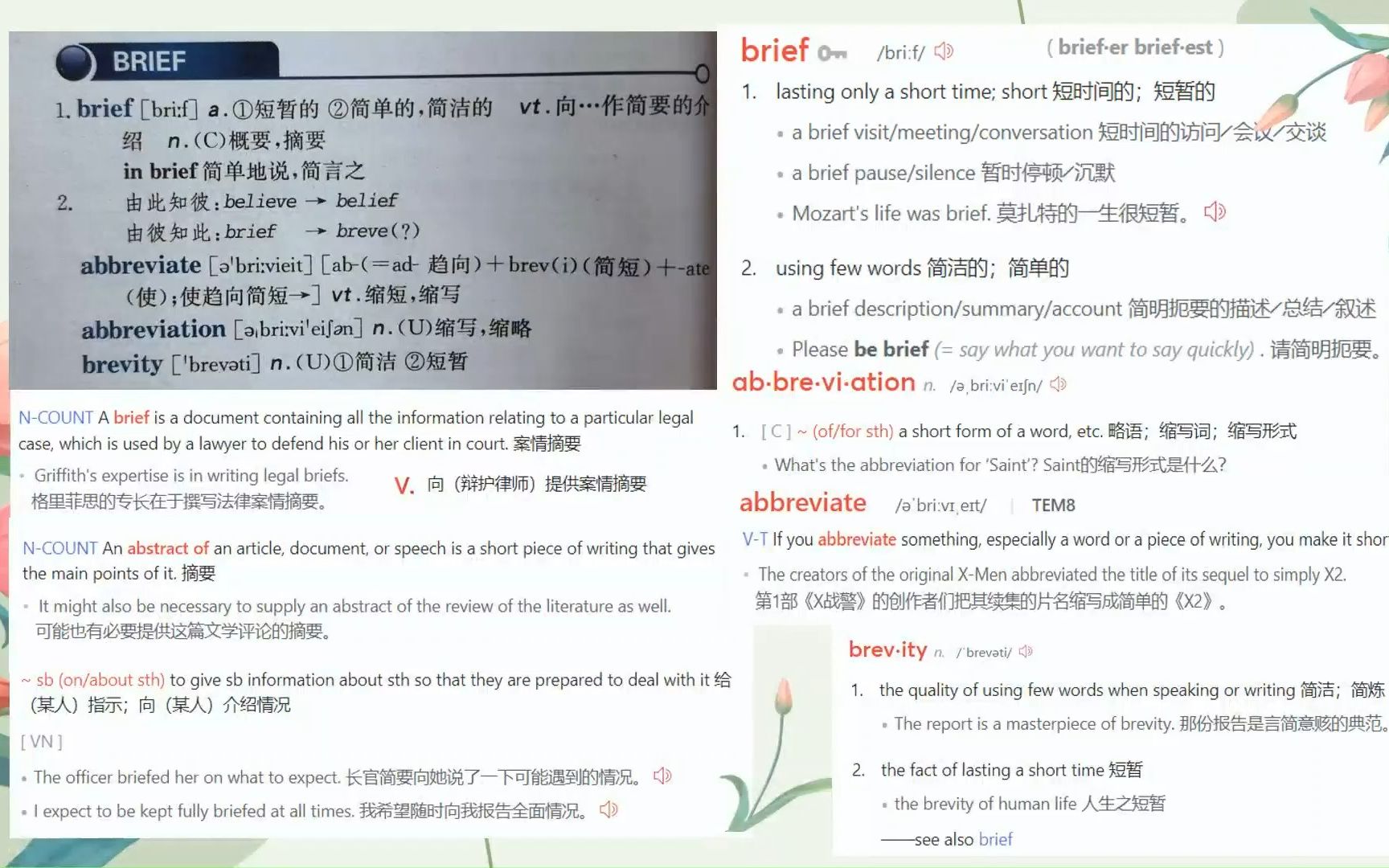 四级词汇 B开头 Day 28 brief,abbreviate,abbreviation,brevity哔哩哔哩bilibili