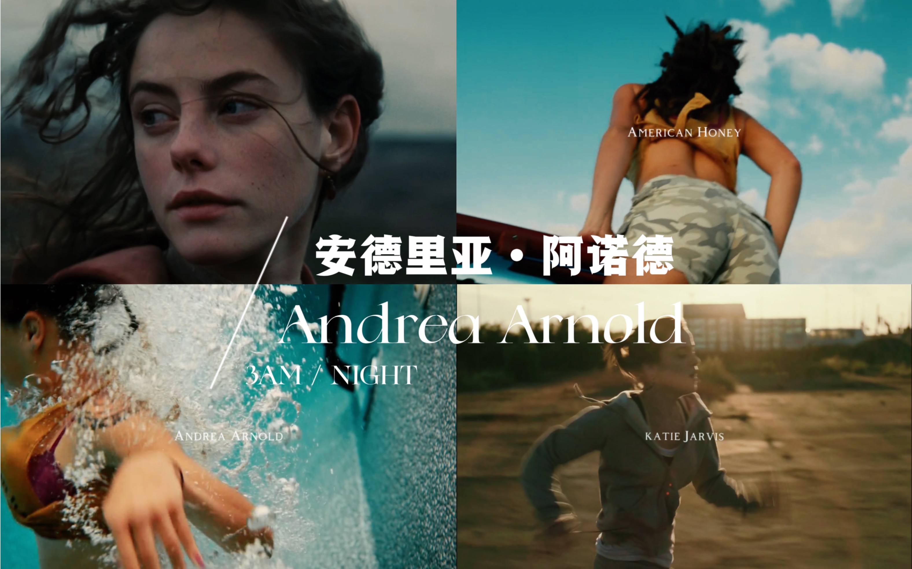 [图]冷门美学必看导演之 安德里亚·阿诺德Andrea Arnold