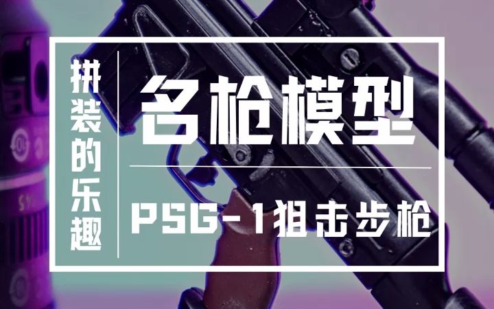 PSG1,有认识的吗?哔哩哔哩bilibili