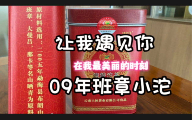 2009年土林精品旅游沱茶两种不同的冲泡方法冲茶方式影响口感 精选05年布朗山班章那卡大曼吕名山十年以上老生茶超值超高性价比云南普洱茶迷你沱生普...