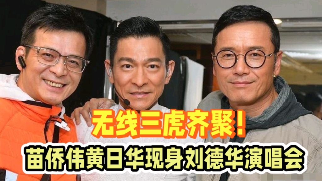 无线三虎齐聚!苗侨伟黄日华现身刘德华演唱会,与梁朝伟彻底断交