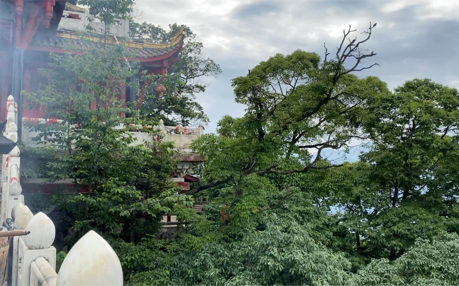 青城山下白素贞山上老君殿风景绝美