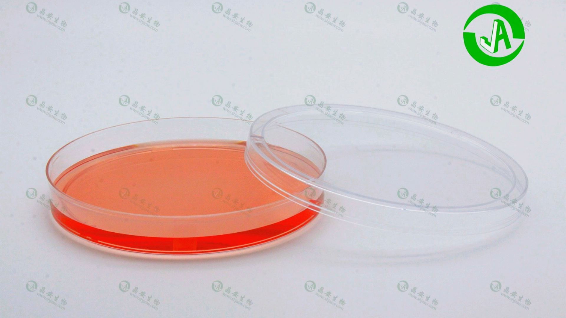 上海晶安明胶包被35mm60mm100mm细胞培养皿