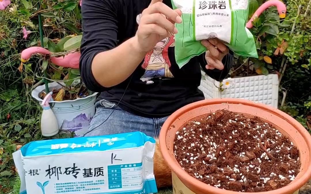 粗细椰糠珍珠岩,家里就能自己配制营养土,我自己盆栽花卉都是这个配方,简单又好用哔哩哔哩bilibili