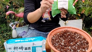 盆栽土壤介绍 配制松软透气的盆栽土 哔哩哔哩 つロ干杯 Bilibili
