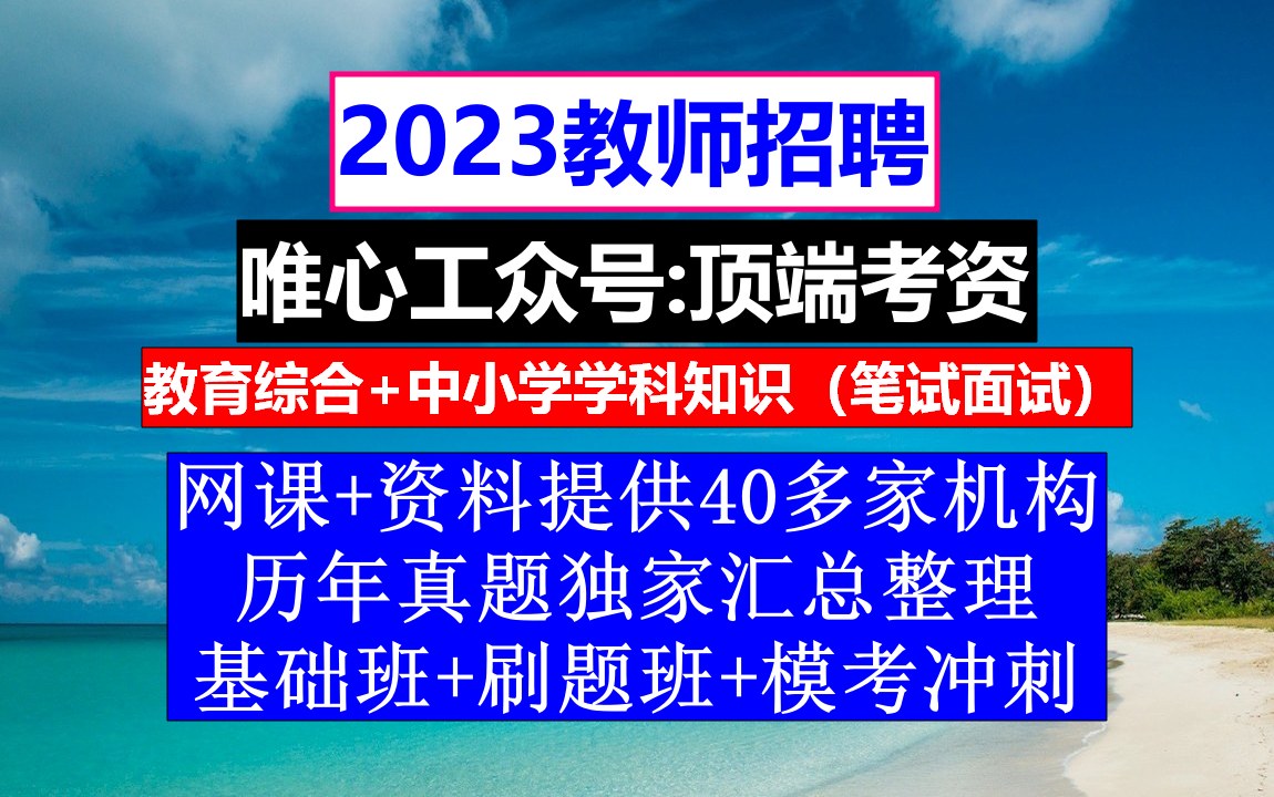 教师招聘,教师招聘考试报到证丢了怎么办,小学语文教师招聘考试真题哔哩哔哩bilibili