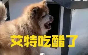 Download Video: 艾特让你骂我 我都给77吃馋死你