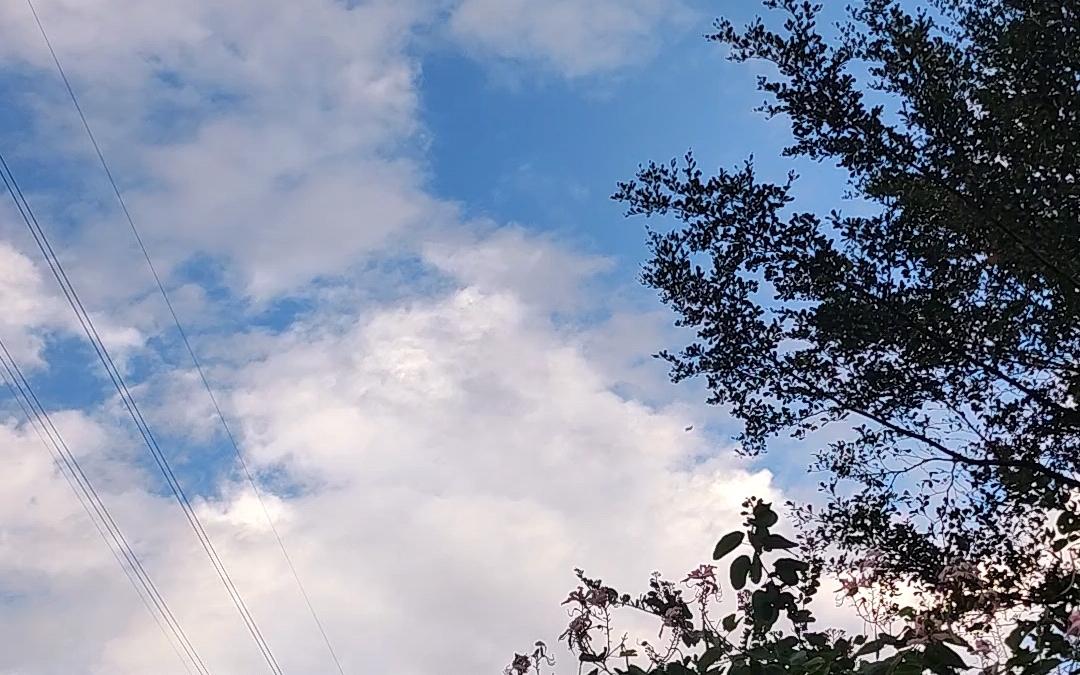 晴天大概会是个好天气